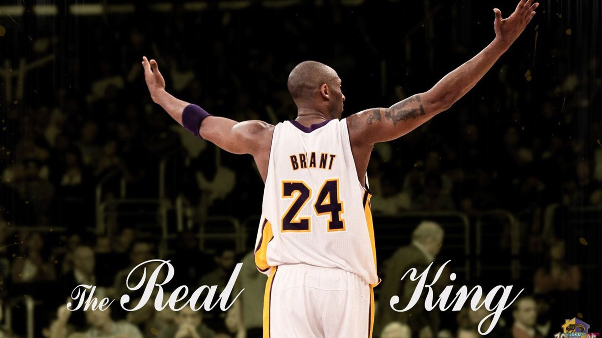 亚洲市场崛起：F1的新战场，f1赛车亚洲选手